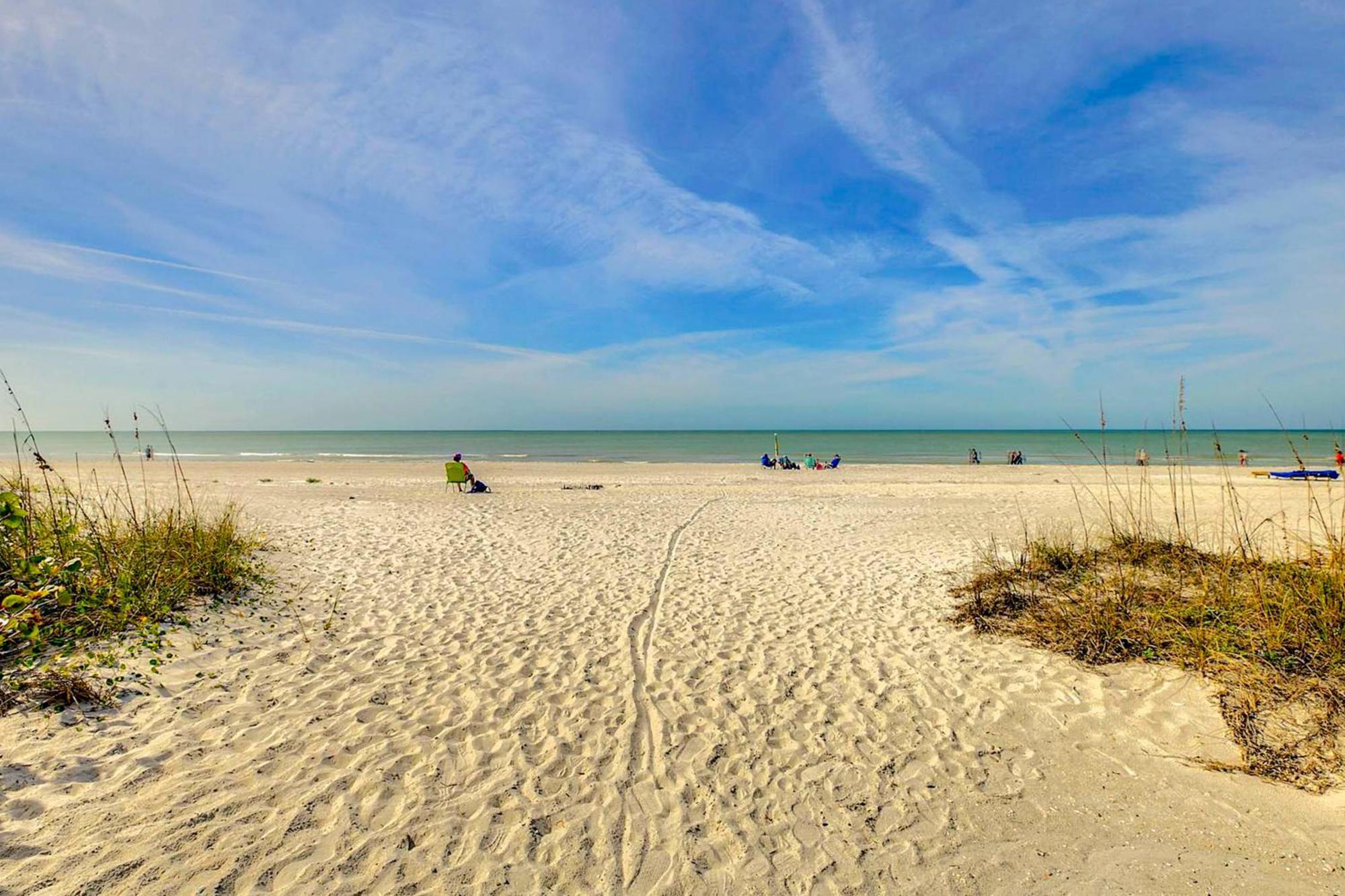 Tropical Paradise Clearwater Beach Room photo