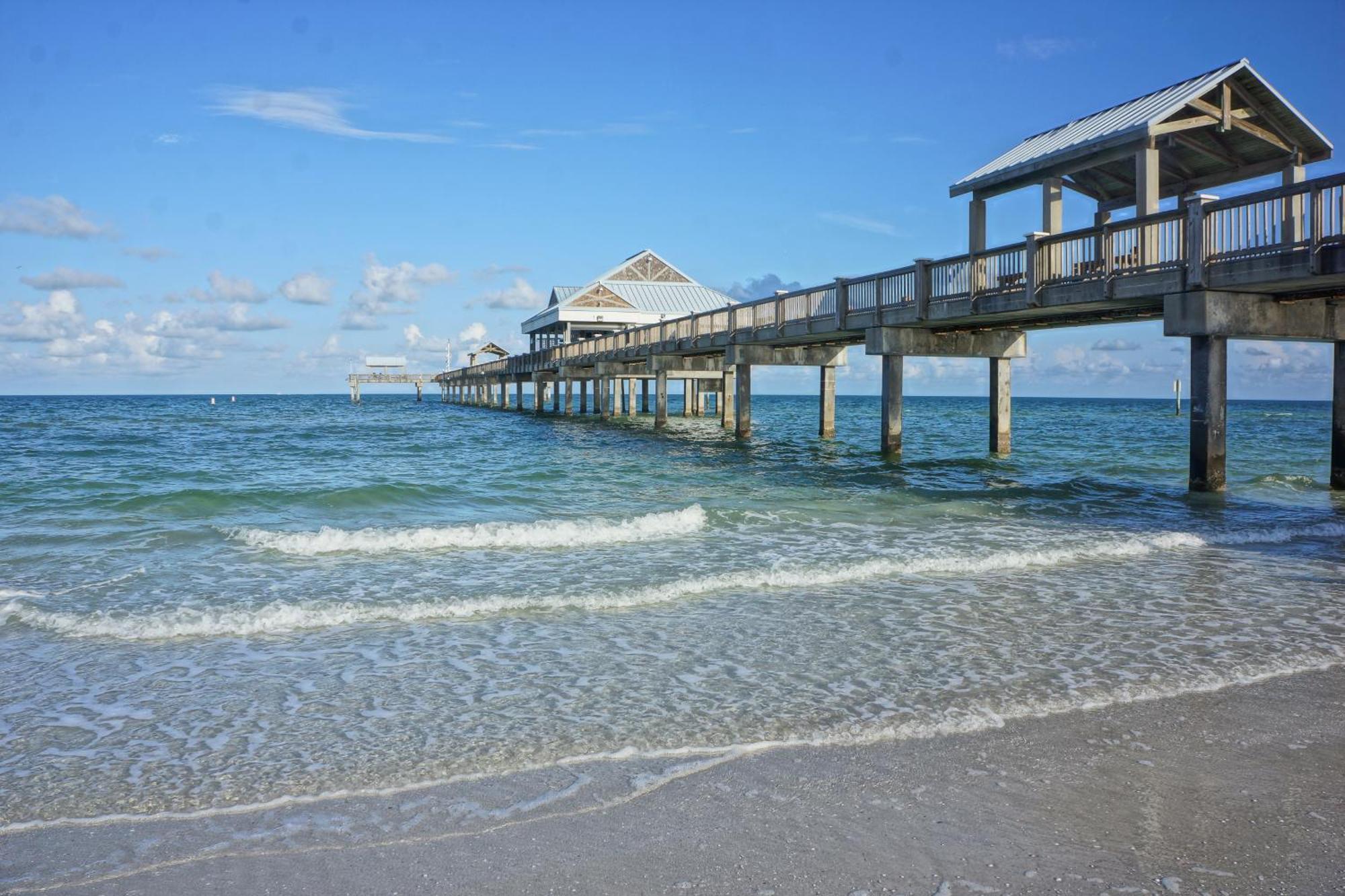 Tropical Paradise Clearwater Beach Room photo