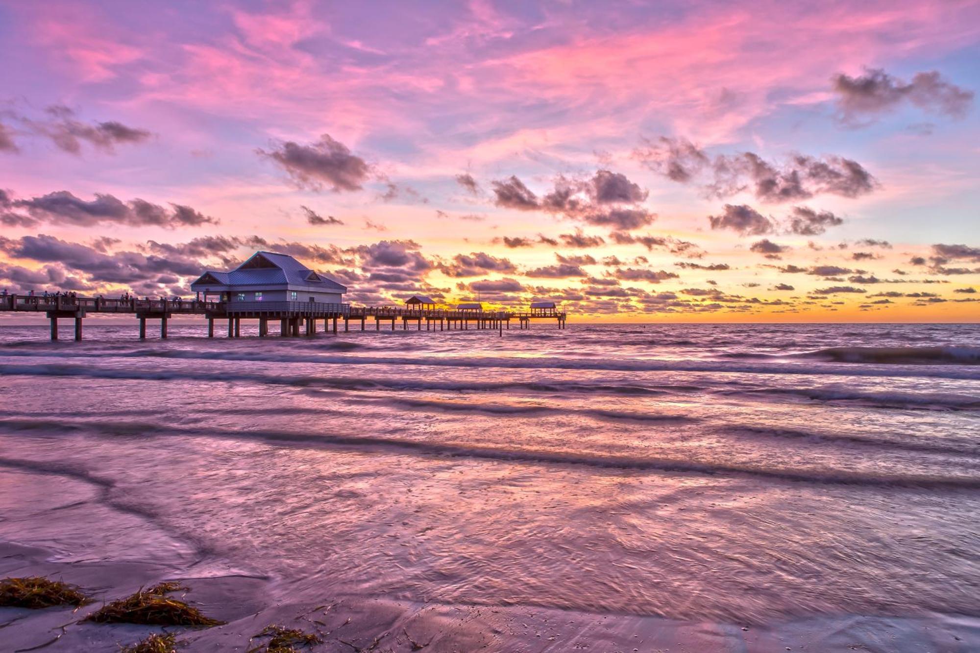 Tropical Paradise Clearwater Beach Room photo